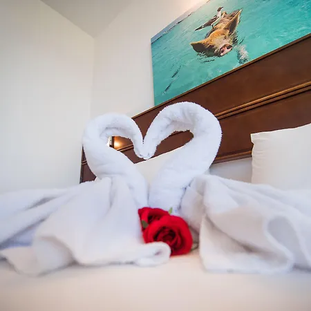 Avlida Hotel 4*