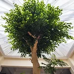 Avlida Hotel Paphos